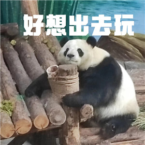 憋尿不好我都懂，但是堵！车！啊！
