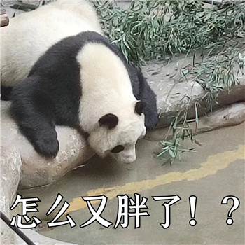 即将开赛！减重还能拿奖品