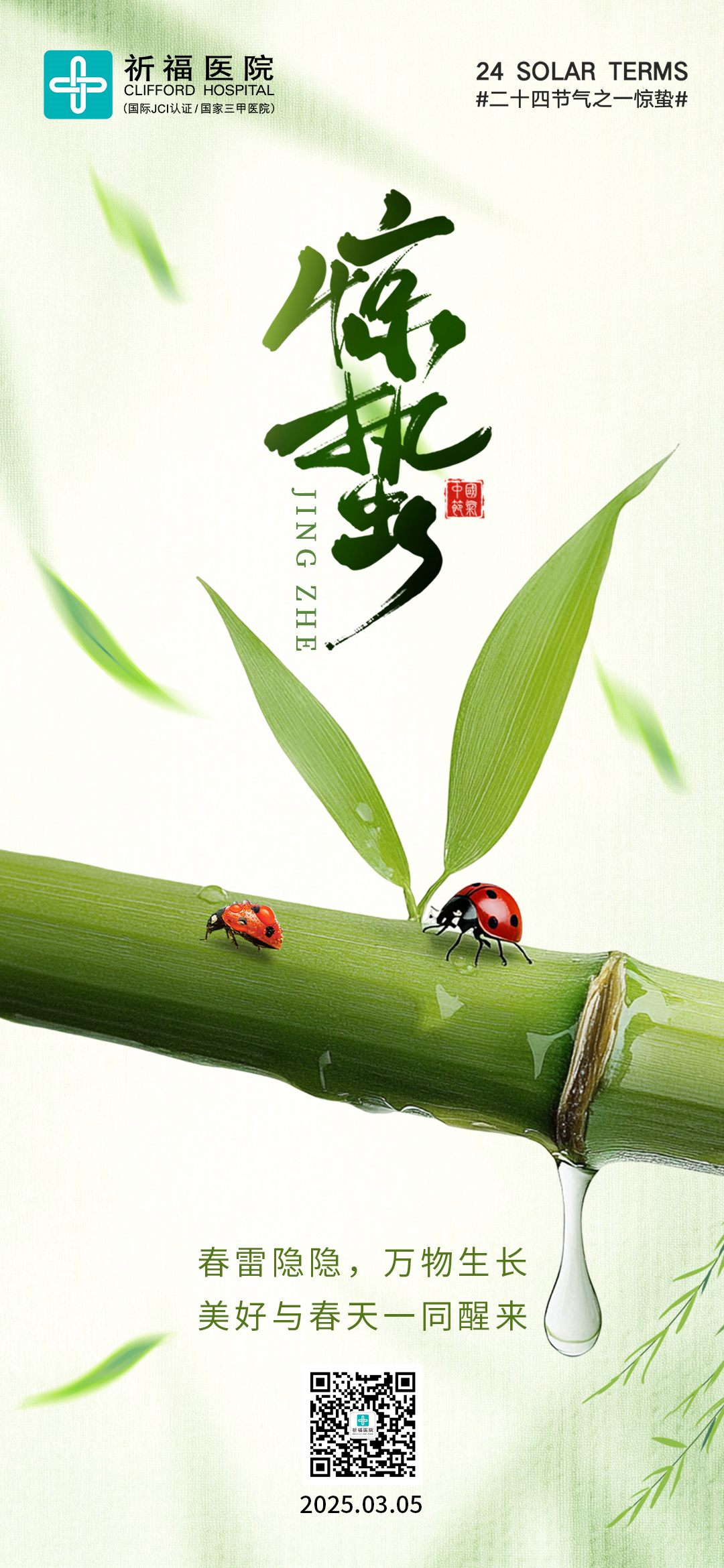 惊蛰时节，一碗春笋汤，唤醒身心