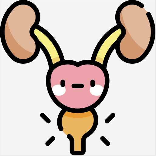 经常憋尿会怎样？医生揭秘5个身体警报