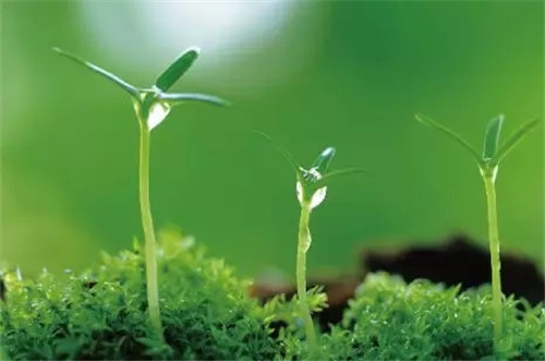 万一癌症来敲门，记住，要这样