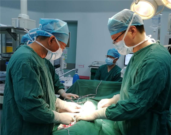 5岁男孩腰痛、呕吐8个月，险丧失一侧肾功能