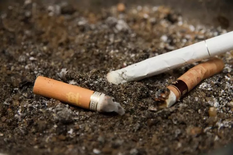 吸烟与多种肿瘤的“爱恨纠葛”