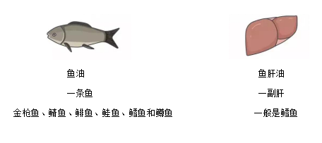 增强肿瘤患者免疫力，专家教你正确食用鱼油！