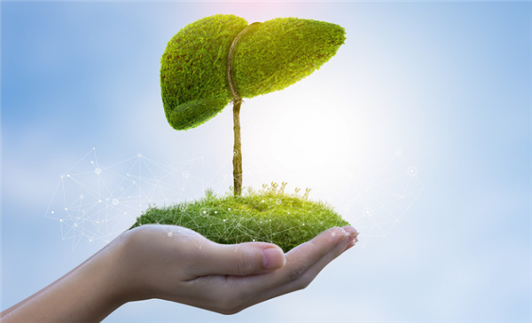 【3.18全国爱肝日】干饭人，你的“小心肝”还好吗？