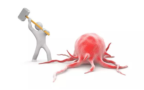 先放化疗还是先手术，这是个专业问题