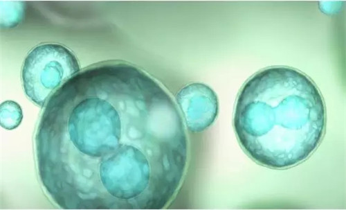 防癌干货｜7招让肿瘤安静地做一个“细胞君”