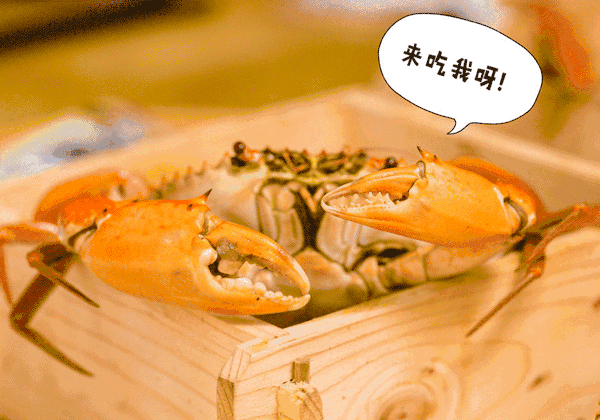 又到一年蟹黄时，这些食蟹相克说法究竟靠不靠谱？